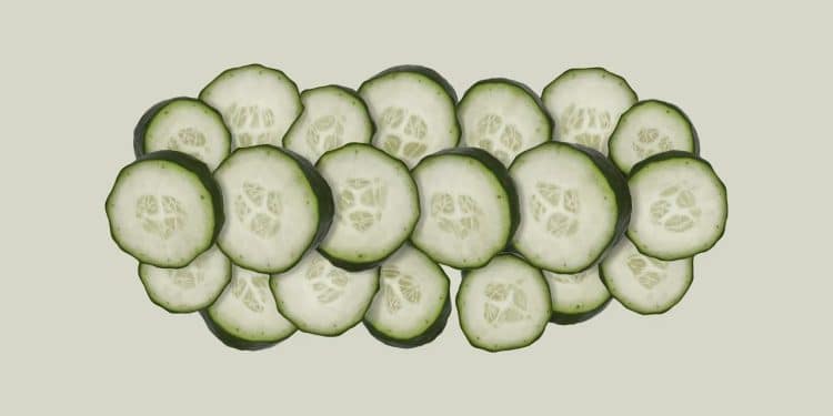 Découvrez pourquoi les concombres sont à la fois des fruits et des légumes selon différentes définitions botaniques et culinaires   Viral Mag