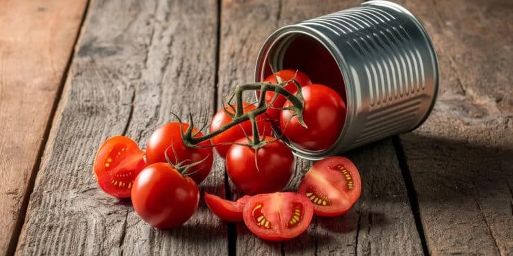 Les tomates en conserve, un aliment sous-estimé à avoir absolument dans son placard - Viral Mag Riches en nutriments et en saveurs les tomates en conserve sont un incontournable abordable pour les cuisiniers pressés Découvrez pourquoi elles méritent une place dans votre panier   Viral Mag