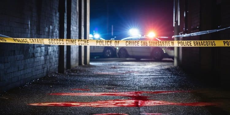 Meurtre à Paris : L’assassin de Andy Brigitte jugé irresponsable - Viral Mag Andy Brigitte un jeune martiniquais a été poignardé à mort à Châtelet Les Halles 6 ans après son meurtrier tente de tuer un militaire Gare de lEst Le point sur cette affaire Viral Mag