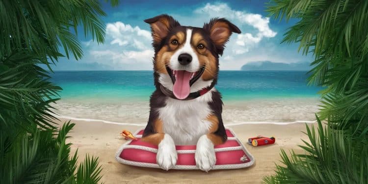 Découvrez nos conseils pour organiser des vacances inoubliables avec votre fidèle compagnon canin Formalités transport activités on vous dit tout    Viral Mag