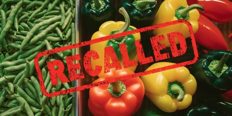 Aldi procède au rappel massif de légumes contaminés à la listeria dans 5 états américains Vérifiez vite vos réfrigérateurs    Viral Mag