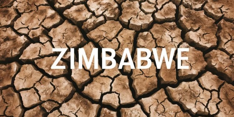 Sécheresse dévastatrice au Zimbabwe : récoltes ruinées, famine imminente - Viral Mag Le Zimbabwe est frappé par une sécheresse sévère liée à El Niño ruinant les récoltes et menaçant la population de famine Découvrez lampleur de la crise   Viral Mag