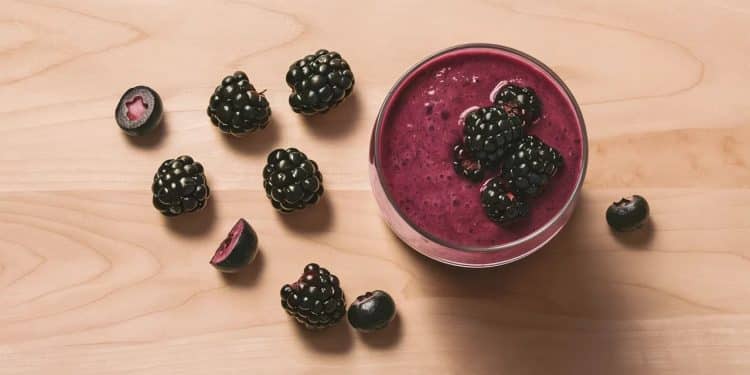 Smoothie aux Mûres : Votre Boost Santé du Matin - Viral Mag Découvrez les bienfaits étonnants du smoothie aux mûres Vitamines antioxydants recette simple  démarrez la journée du bon pied    Viral Mag
