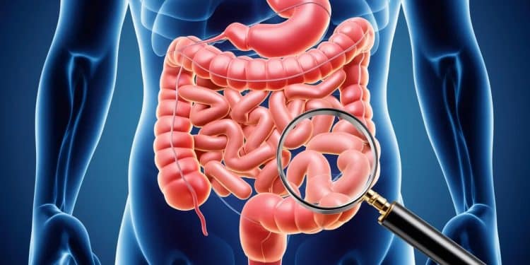 Fréquence consistance couleur Explorez les secrets de vos selles pour une meilleure santé digestive Découvrez quand consulter un médecin   Viral Mag