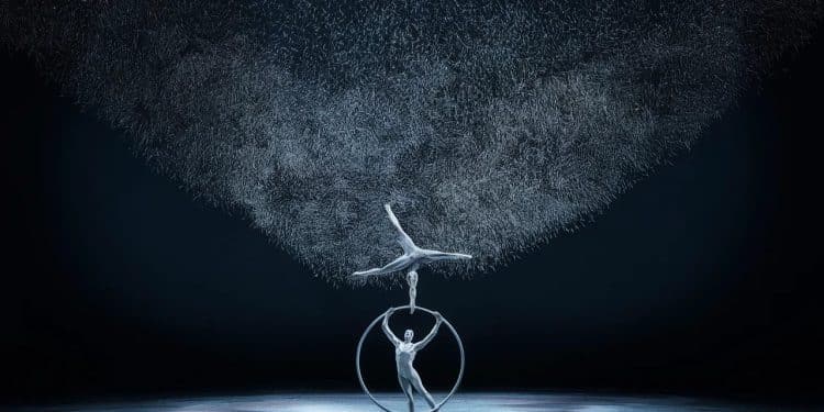 Rachid Ouramdane réunit danseurs acrobates et chanteurs dans un spectacle époustouflant évoquant le vol des étourneaux pour une expérience vertigineuse   Viral Mag