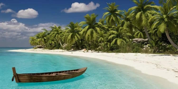 Découvrez pourquoi Zanzibar en août est la destination parfaite pour des vacances de rêve  plages idylliques culture fascinante et nature luxuriante vous attendent    Viral Mag