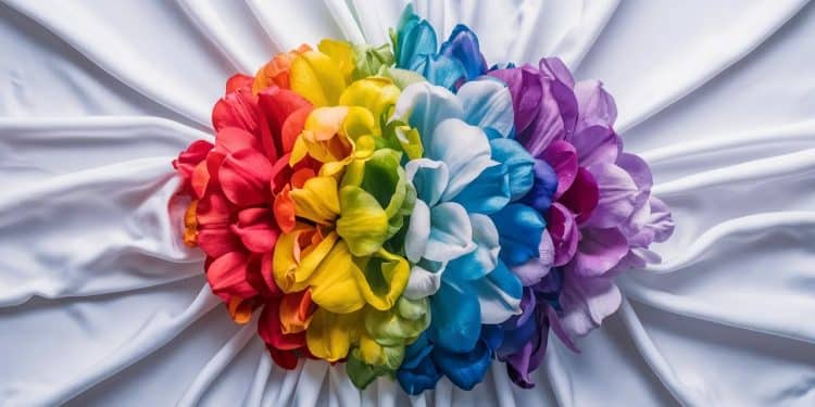 Ces 5 Fleurs Risquent de Tacher Vos Vêtements au Toucher - Viral Mag Découvrez les 5 fleurs magnifiques mais salissantes qui peuvent facilement tacher vos habits murs et rideaux avec leur pollen et pétales Viral Mag