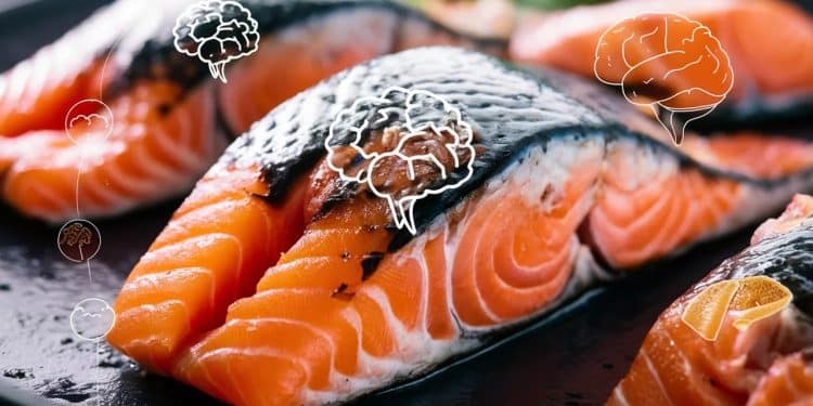 Le Saumon, l’Allié Incontournable Pour un Cerveau en Pleine Forme - Viral Mag Découvrez comment le saumon riche en protéines et en oméga 3 peut booster votre santé cérébrale et prévenir le déclin cognitif Les conseils des experts   Viral Mag