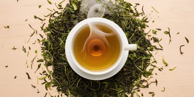 Le Thé Vert: Un Allié Santé Aux Multiples Bienfaits - Viral Mag Découvrez les vertus insoupçonnées du thé vert pour votre bien être Antioxydants perte de poids santé cardiaque laissez vous séduire Viral Mag