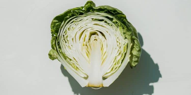 Découvrez pourquoi la laitue iceberg souvent négligée est en réalité un allié précieux pour votre bien être Un expert en nutrition révèle ses secrets   Viral Mag