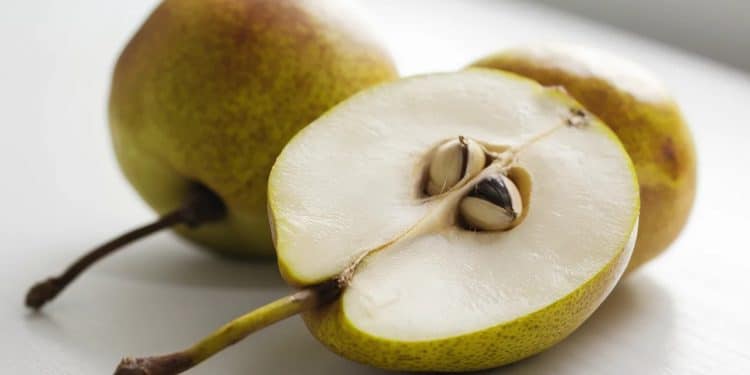 Les bienfaits insoupçonnés de la poire pour votre santé - Viral Mag Découvrez pourquoi la poire est un fruit incontournable pour votre bien être Riche en fibres antioxydants et à faible index glycémique elle vous surprendra    Viral Mag