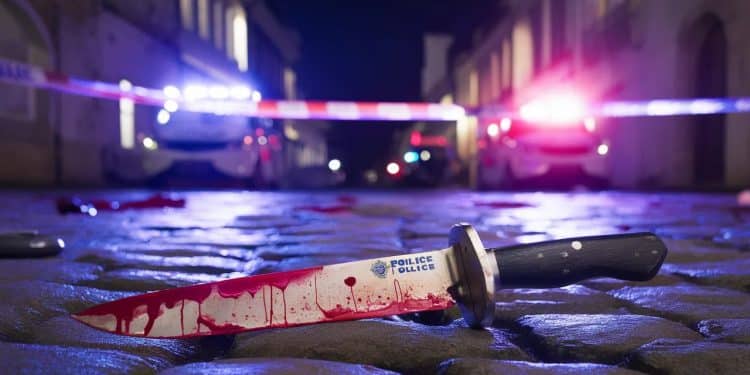 Nantes : Attaque à l’arme blanche sur l’île de Nantes - Viral Mag Un homme en état débriété a agressé quatre personnes à larme blanche sur lîle de Nantes Les victimes sont légèrement blessées Viral Mag