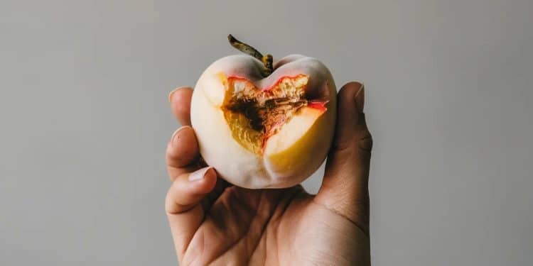 Rappel de Pêches Dangereuses dans le Sud-Ouest de la France - Viral Mag Attention Des pêches plates espagnoles de la variété platibelle contenant des pesticides illégaux ont été vendues dans plusieurs départements du Sud Ouest Découvrez lesquels et quoi faire Viral Mag