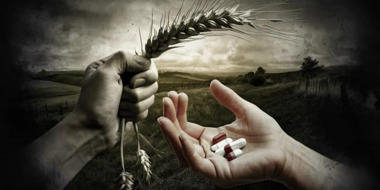 Malgré une meilleure connaissance du fonds dindemnisation des victimes de pesticides le nombre de demandes reste stable en 2023   Viral Mag