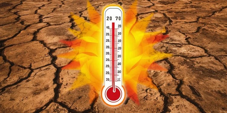 Vague de Chaleur Estivale : La France Face à une Nouvelle Canicule - Viral Mag Une nouvelle vague de chaleur frappe la France ce week end avec des températures atteignant les 40°C dans certaines régions Découvrez les prévisions météorologiques et les conseils pour faire face à cette canicule estivale   Viral Mag