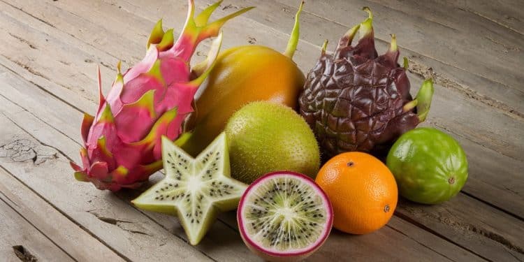 Découvrez 9 fruits méconnus qui contiennent plus de fibres quune pomme Variez les plaisirs et optimisez votre santé digestive avec ces super fruits    Viral Mag