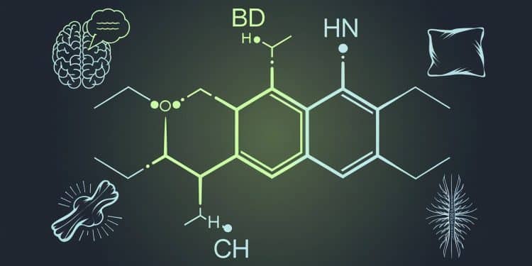 Découvrez les Bienfaits Étonnants du CBD sur Votre Santé - Viral Mag Le CBD extrait de la plante de cannabis révolutionne le monde du bien être Explorez ses nombreux avantages pour votre santé physique et mentale Viral Mag