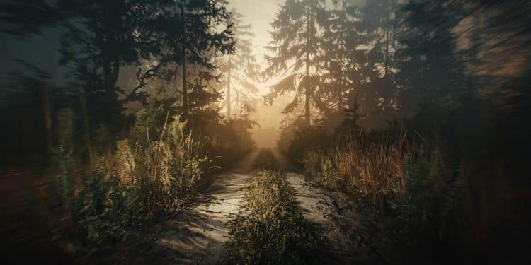 L’Effroyable Agression Sexuelle qui a Failli Coûter la Vie à une Étudiante - Viral Mag Retour sur le viol brutal de Taverny en 2019 le témoignage exclusif de lancien chef de la police du Val dOise Un calvaire de 90 minutes Viral Mag