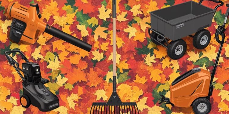Découvrez les outils novateurs pour ramasser les feuilles dautomne facilement Fini les râteaux  Aspirateurs souffleurs et plus encore   Viral Mag