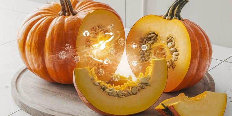 10 Bienfaits Incroyables de la Citrouille Pour Votre Santé - Viral Mag Découvrez comment manger de la citrouille régulièrement peut booster votre système immunitaire réduire linflammation et améliorer votre santé globale Viral Mag