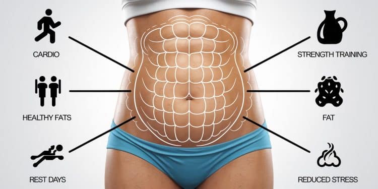 La graisse viscérale est difficile à éliminer Découvrez 5 habitudes à ne pas faire qui vont pourtant vous aider à perdre du gras abdominal et améliorer votre santé   Viral Mag