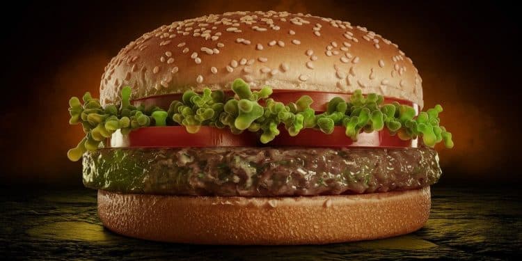 Alerte Sanitaire : Un Mort Et Des Dizaines De Malades Après Une Contamination E. Coli Chez McDonald’s - Viral Mag Panique aux États Unis des dizaines de personnes sont tombées malades et un décès est à déplorer suite à une contamination à la bactérie E coli dans des burgers McDonalds Lenquête est en cours Viral Mag