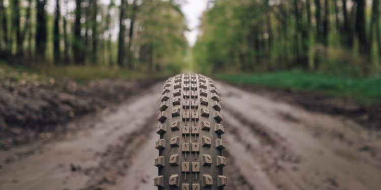 Aux Mondiaux de Gravel, la Frustration des Spécialistes Face aux Routiers - Viral Mag Les championnats du monde de gravel discipline hybride entre route et VTT ont lieu ce dimanche en Belgique Les routiers comme Van der Poel sont favoris au grand dam des spécialistes Viral Mag
