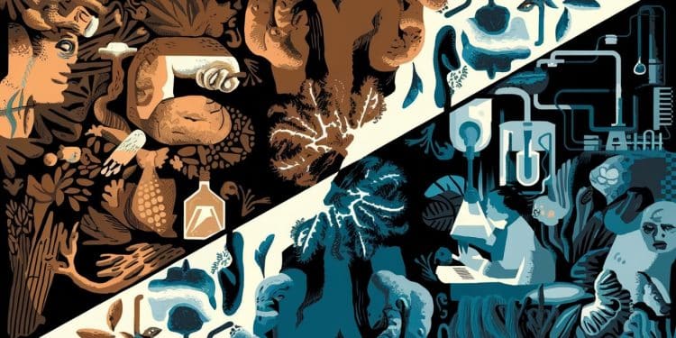 La COP16 sur la biodiversité met en lumière lenjeu majeur de la biopiraterie Découvrez comment ce phénomène affecte les pays en développement et les solutions envisagées   Viral Mag