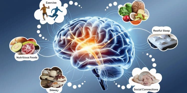 Comment Prévenir le Déclin Cognitif Dès Maintenant - Viral Mag Découvrez lhabitude numéro 1 à adopter dès aujourdhui pour réduire votre risque de démence et préserver votre santé cognitive à long terme   Viral Mag