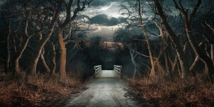 Découverte du corps de Lina : un récit tragique d’une disparition mystérieuse - Viral Mag Après plus dun an dattente et dangoisse le corps de Lina 15 ans est retrouvé immergé dans un cours deau près de Nevers Retour sur cette affaire qui avait suscité un vif émoi Viral Mag