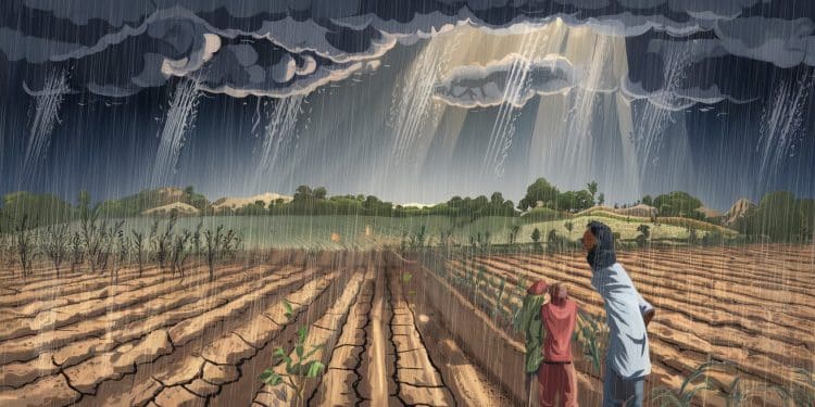 Déluge Salvateur Dans Les Pyrénées-Orientales Après Une Sécheresse Intense - Viral Mag Après un long épisode de sécheresse les pluies diluviennes redonnent espoir aux agriculteurs des Pyrénées Orientales Découvrez comment ce déluge a transformé leur quotidien   Viral Mag