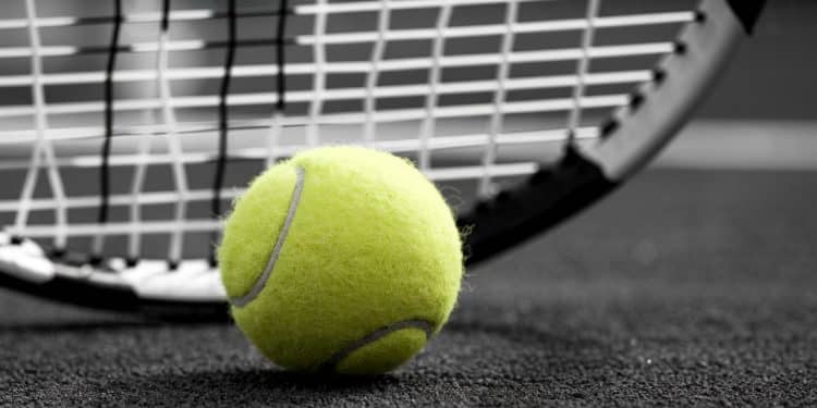 La Française de 22 ans Diane Parry perd en demi finale du tournoi WTA 250 dOsaka face à Suzan Lamens après un parcours encourageant   Viral Mag