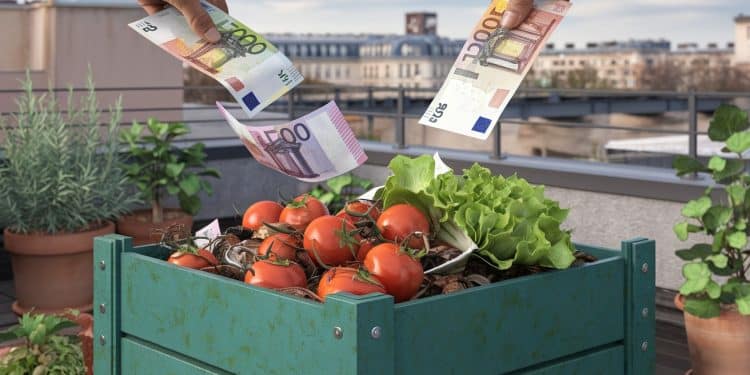 Fermes Urbaines : Le Gaspillage d’Argent Public Dévoilé - Viral Mag Les fermes urbaines de Paris produisent peu malgré des investissements massifs Découvrez comment largent public est gaspillé dans ces projets peu rentables Viral Mag