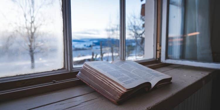 Kev Lambert : « La Littérature, une Source de Consolation » - Viral Mag Kev Lambert lauréat du Médicis et du Décembre se confie sur son parcours littéraire et son nouveau roman Les Sentiers de Neige Viral Mag