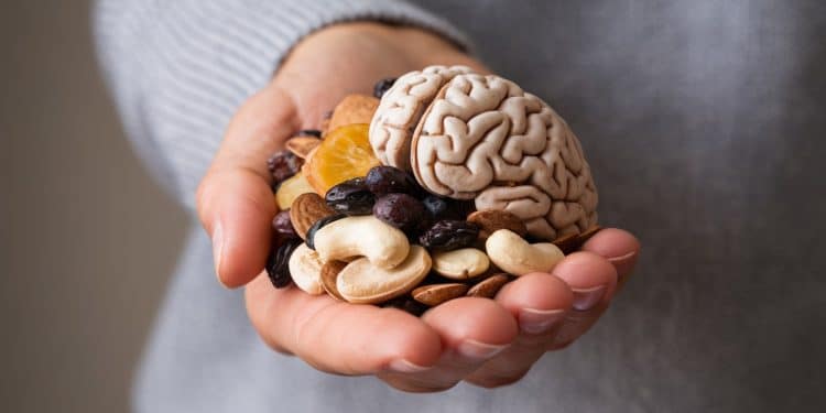 Les experts recommandent cette savoureuse collation pour optimiser la santé du cerveau Découvrez ce snack sucré et mâcheux riche en nutriments essentiels   Viral Mag