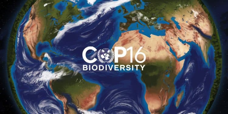 La COP16 sur la biodiversité débute à Cali en Colombie Enjeux objectifs et attentes  découvrez pourquoi cette conférence est cruciale pour lavenir de notre planète   Viral Mag