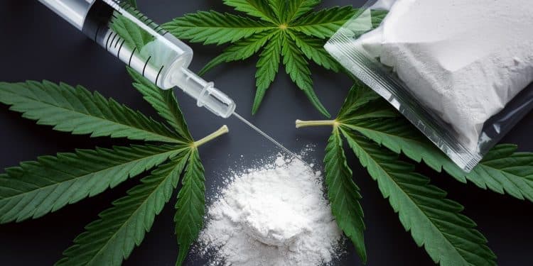 La Gauche Radicale Prône la Légalisation des Drogues : Polémique Assurée - Viral Mag Un débat houleux sur la légalisation des drogues opposant un youtubeur une universitaire et une médecin tous proches de LFI suscite lindignation Dealer à 14 ans assimilé à un apprentissage narco trafiquants victimes de racisme Les propos choquent   Viral Mag