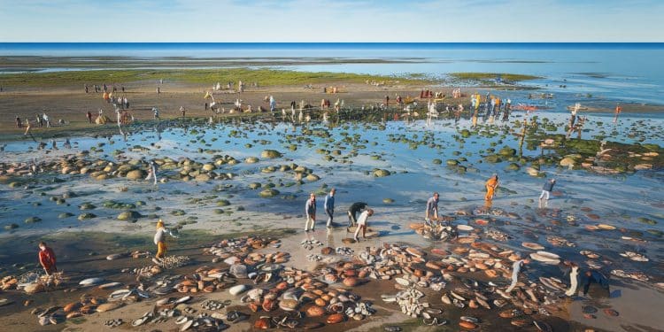 La pêche à pied, la nouvelle attraction touristique en Bretagne - Viral Mag La pêche à pied attire de plus en plus de touristes chinois en Bretagne Découvrez cette activité ancestrale devenue tendance Viral Mag
