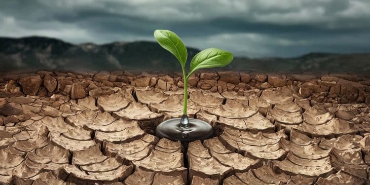 La pluie tant attendue réjouit les Pyrénées-Orientales - Viral Mag Après des mois de sécheresse extrême les Pyrénées Orientales savourent enfin une pluie salvatrice Découvrez limpact de ces précipitations sur la région   Viral Mag