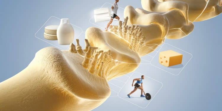 La Santé des Os : Des Conseils Concrets pour Renforcer Son Ossature - Viral Mag Découvrez des astuces pratiques pour solidifier vos os et prévenir lostéoporose Des recommandations alimentaires aux exercices clés notre guide détaillé vous accompagne dans votre quête dune meilleure santé osseuse   Viral Mag