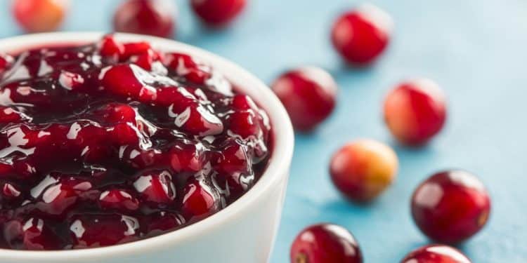 La sauce aux canneberges, un délice sucré autorisé pour les diabétiques ? - Viral Mag Découvrez comment les personnes diabétiques peuvent savourer la sauce aux canneberges durant les fêtes sans compromettre leur santé Conseils et astuces dune diététicienne Viral Mag