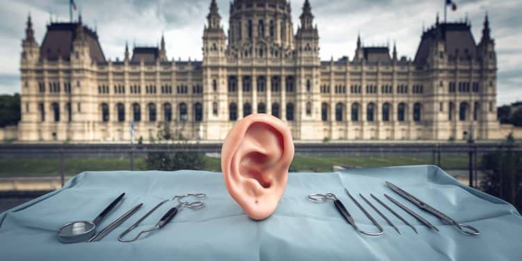 Jordan Bardella a affirmé que lAME permettait à des clandestins de se faire recoller les oreilles aux frais de létat La vérité derrière la polémique   Viral Mag