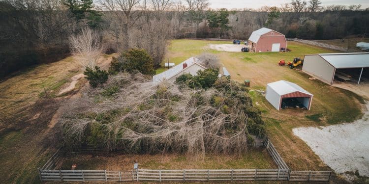 Le coût caché du débroussaillage obligatoire en France - Viral Mag Découvrez les sanctions encourues en cas de manquement à lobligation légale de débroussailler et comment vérifier si vous êtes concerné Viral Mag