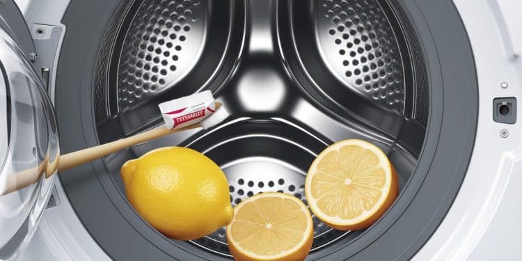 Vous rêvez dun lave linge impeccable sans débourser une fortune  Découvrez lastuce imparable du dentifrice pour le nettoyer rapidement    Viral Mag