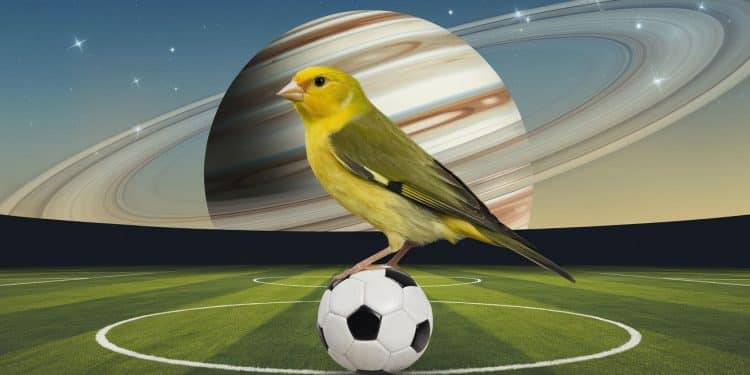 Le Duel Exaltant Des Canaris Nantais Contre La Galaxie Parisienne - Viral Mag Lécart abyssal entre le FC Nantes et le PSG féminin ne freine pas lenthousiasme des 15 000 spectateurs attendus à La Beaujoire pour ce match de championnat historique La rencontre promet un clash des styles passionnant Viral Mag