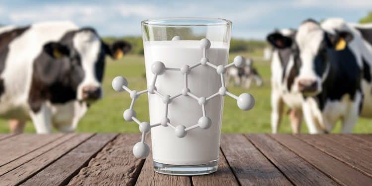 Le lait A2 : une nouvelle option pour une meilleure digestion ? - Viral Mag Le lait A2 une alternative au lait traditionnel qui pourrait faciliter la digestion pour certaines personnes Découvrez ce quen pense une diététicienne Viral Mag