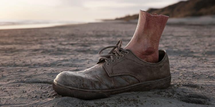 Le mystère du pied de Cyrille Picard retrouvé sur une plage - Viral Mag Un pied retrouvé sur une plage de Charente Maritime relance lénigme autour de la disparition du suspect dans le meurtre de sa fille Célia Viral Mag