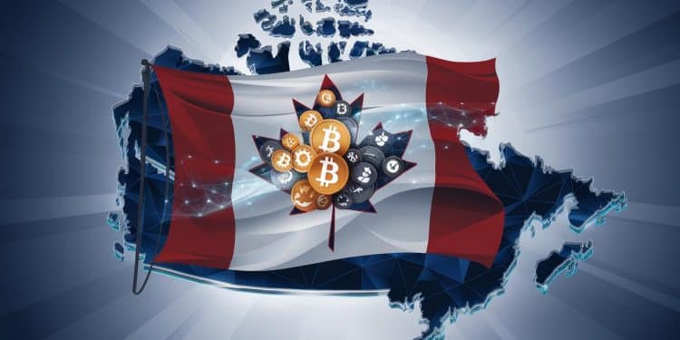 Un spécialiste canadien de la garde de cryptomonnaies annonce le rapatriement des actifs des ETF jusqualors détenus aux États Unis   Viral Mag