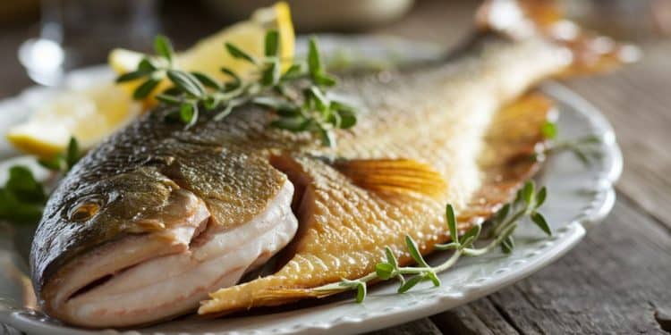 Découvrez comment le silure poisson invasif de nos cours deau se transforme en mets savoureux et original dans les cuisines françaises   Viral Mag