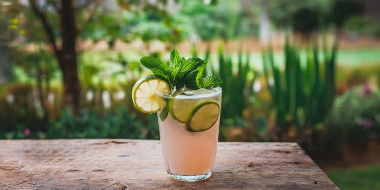 Les 5 Meilleures Boissons Probiotiques pour Booster votre Santé en 2024 - Viral Mag Découvrez les 5 boissons probiotiques les plus efficaces pour améliorer naturellement votre digestion et renforcer votre système immunitaire dès aujourdhui Viral Mag